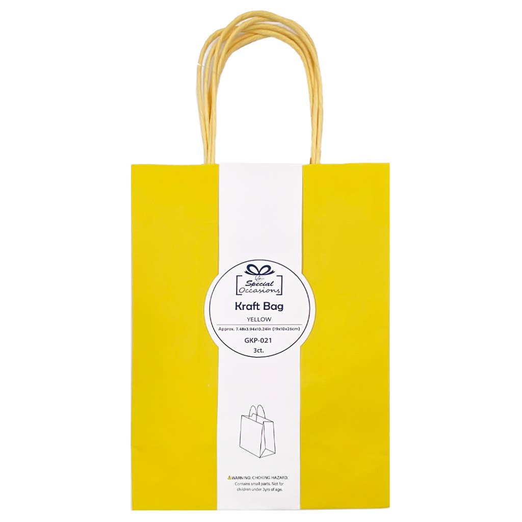 Large Kraft Gift Bags, 3 Pack, 9 Colors Available