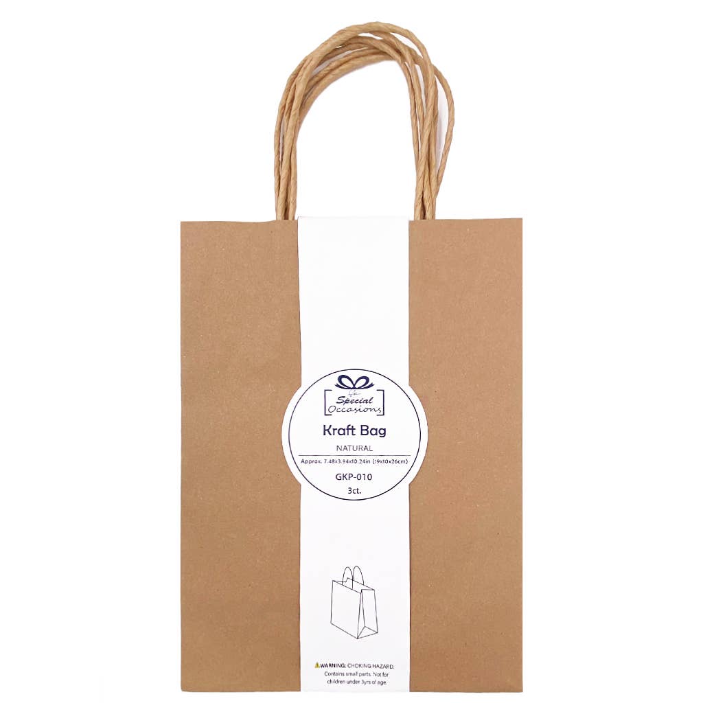 Large Kraft Gift Bags, 3 Pack, 9 Colors Available